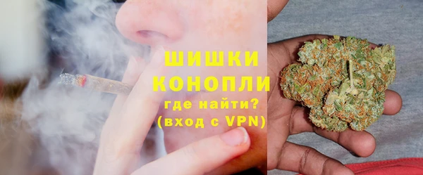 индика Беломорск