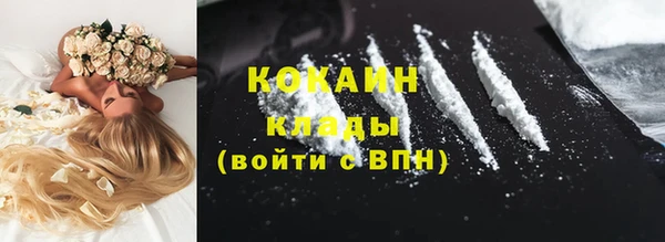 индика Беломорск