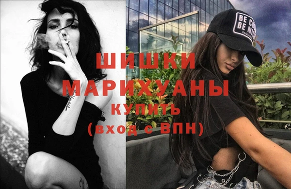 индика Беломорск