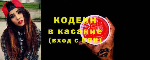хмурый Белокуриха