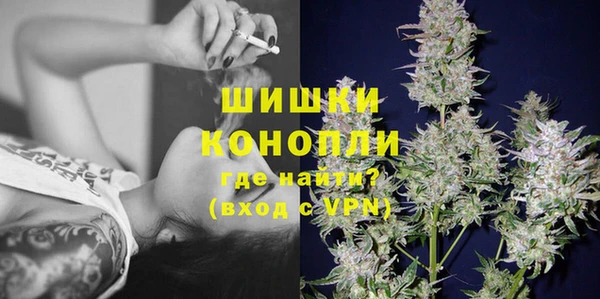 хмурый Белокуриха