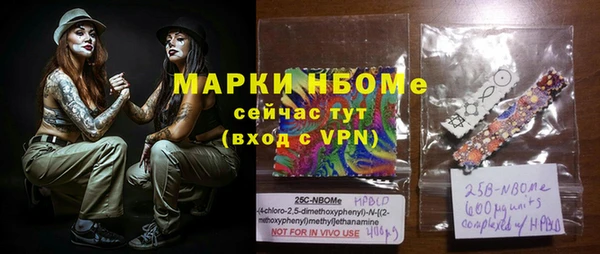 хмурый Белокуриха