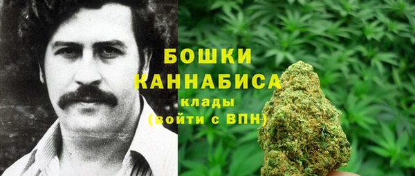 индика Беломорск
