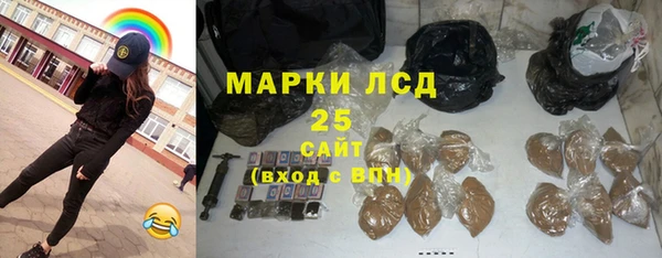 индика Беломорск