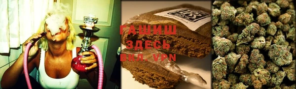 хмурый Белокуриха