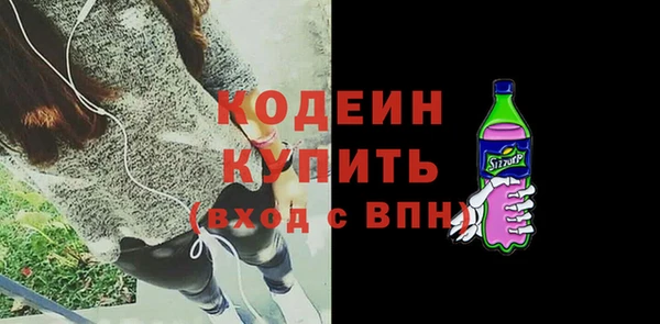 хмурый Белокуриха